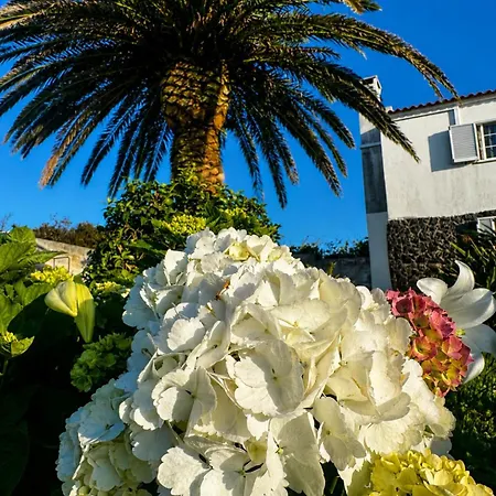 Villa Quinta Do Sol Ocean With Bath & Volcano Views *